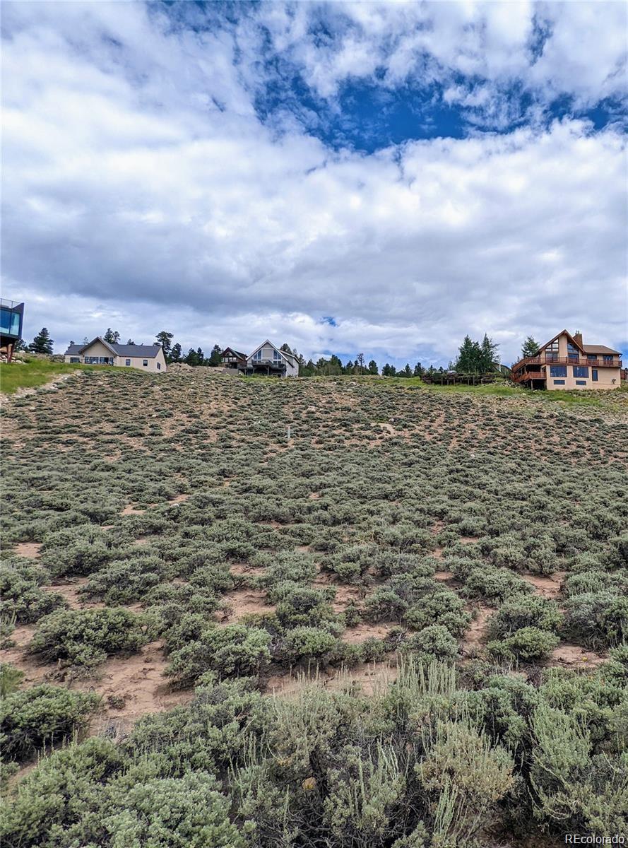 445 Mount Hope Twin Lakes CO 81251