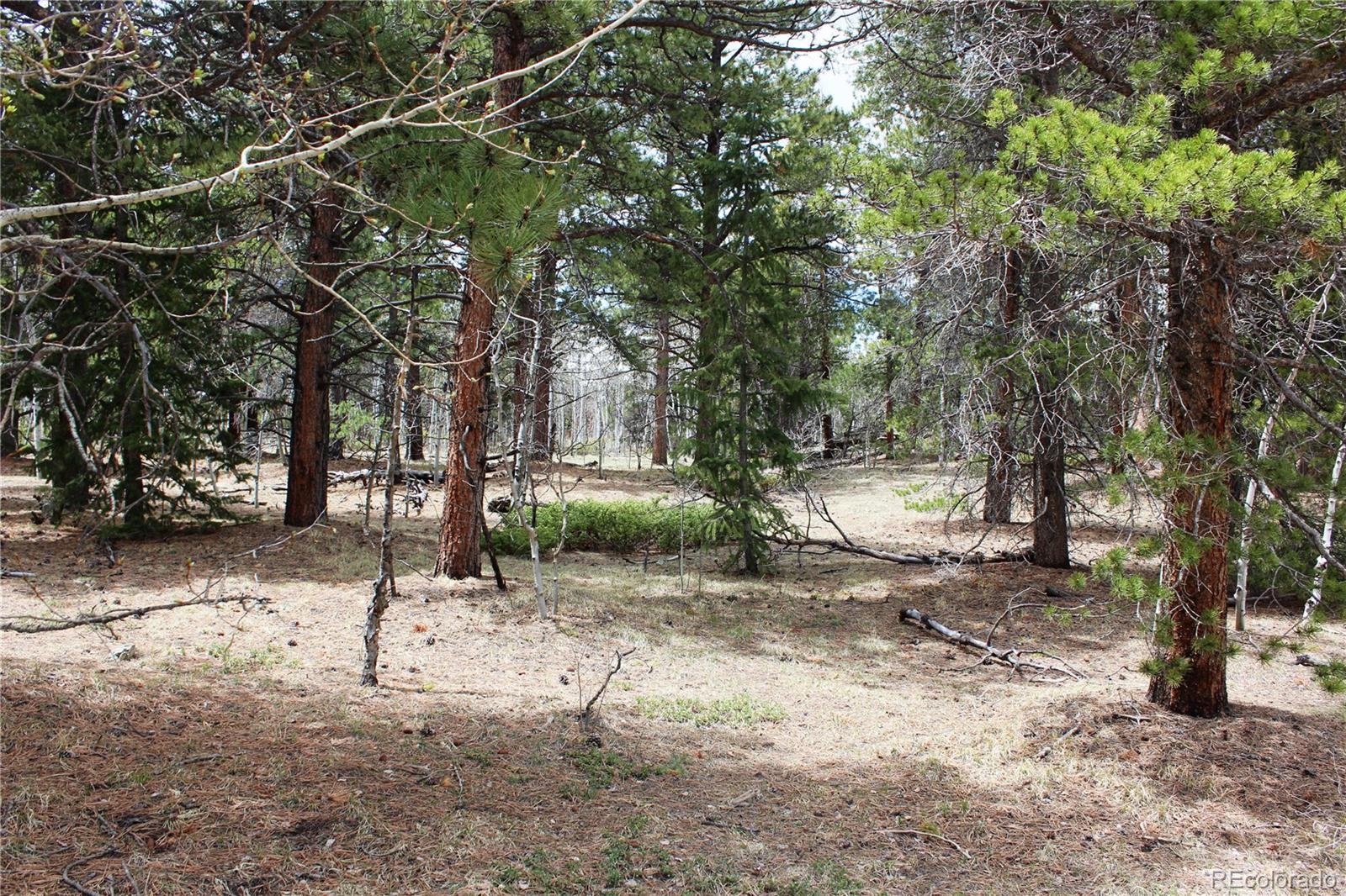 Lot 10 Pinon Circle Black Hawk CO 80422