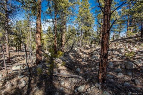 21160 Skyline Drive Nathrop CO 81236
