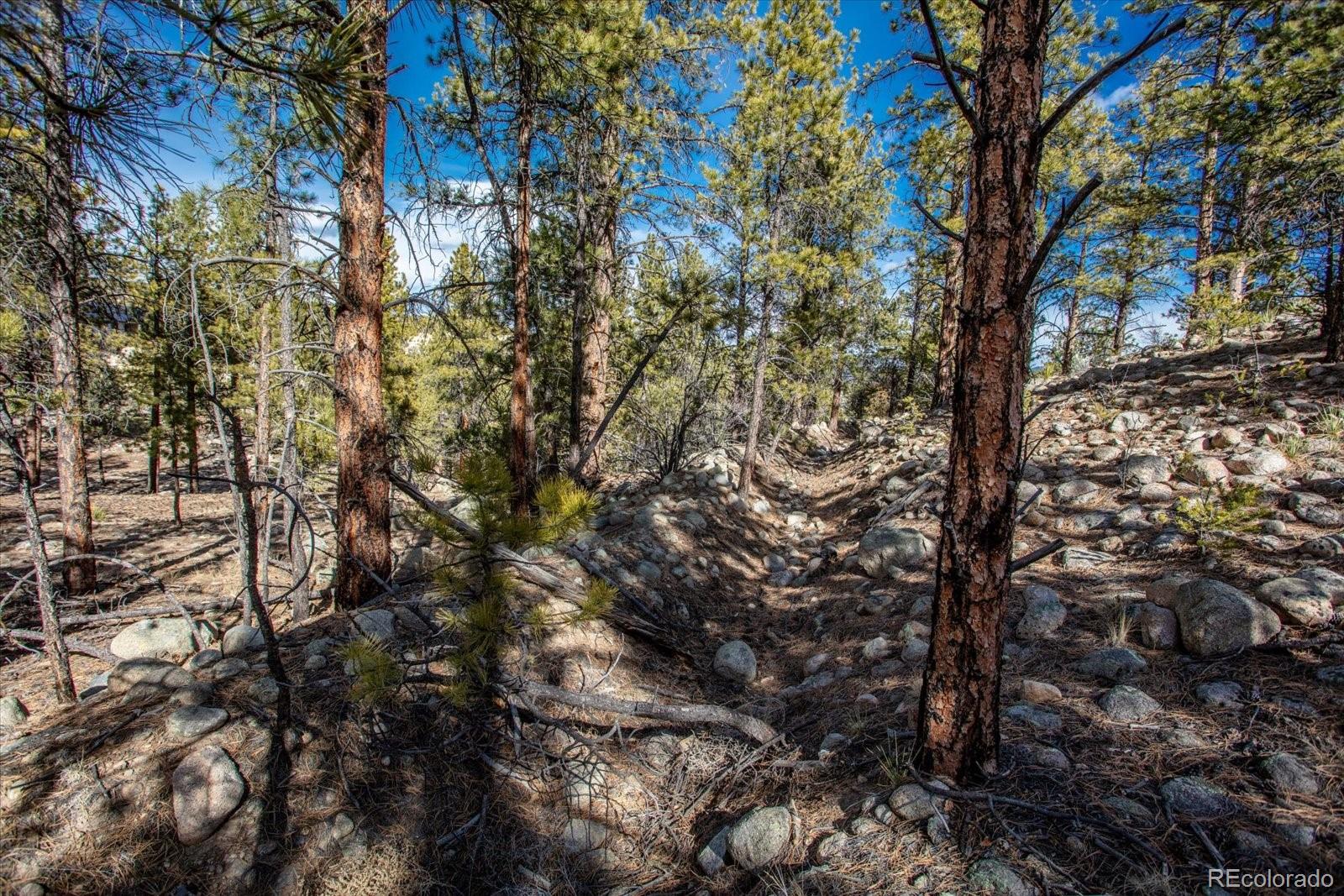 21160 Skyline Drive Nathrop CO 81236