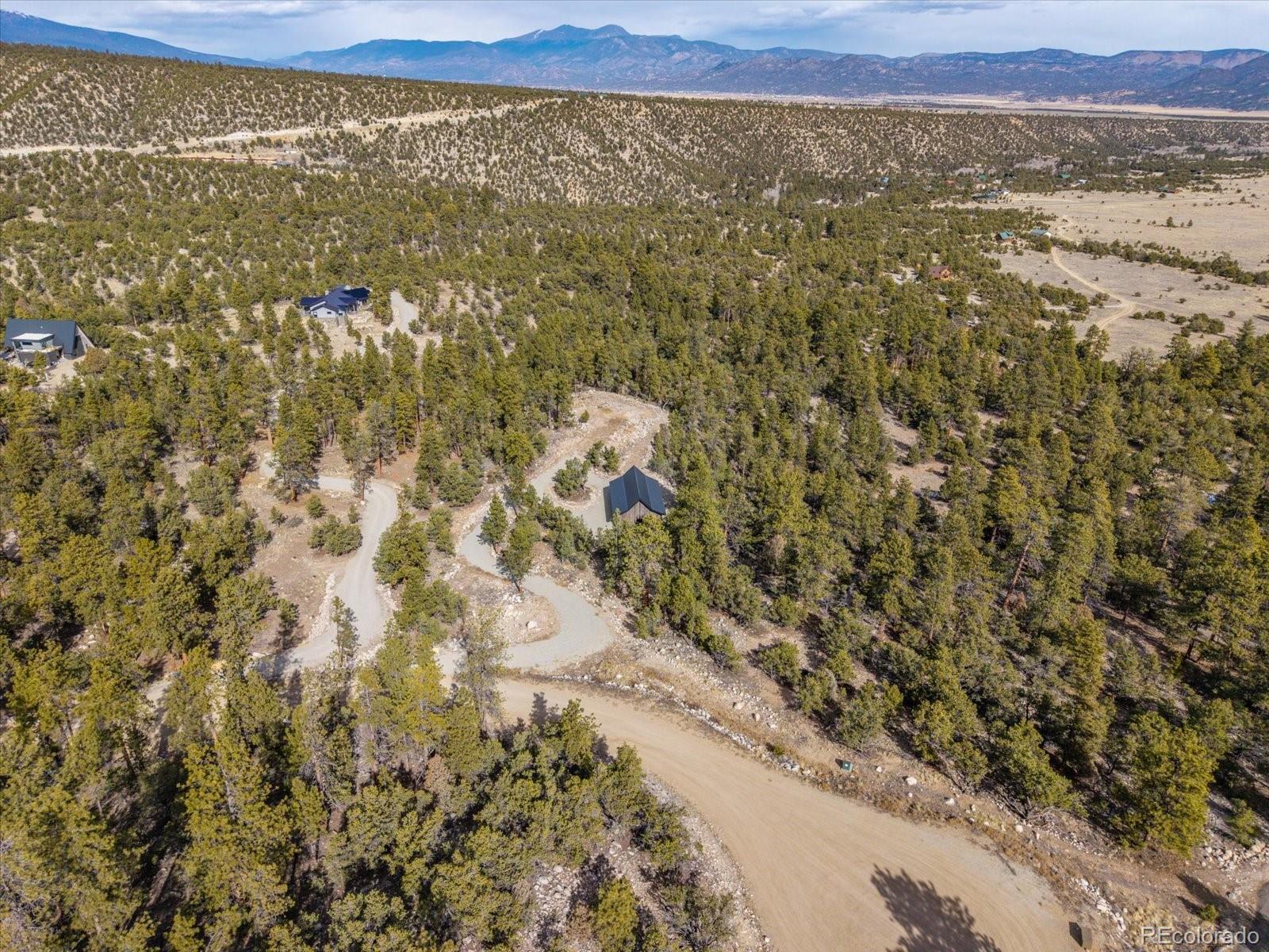 21160 Skyline Drive Nathrop CO 81236