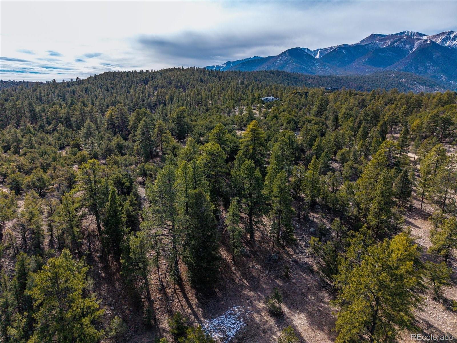 21160 Skyline Drive Nathrop CO 81236