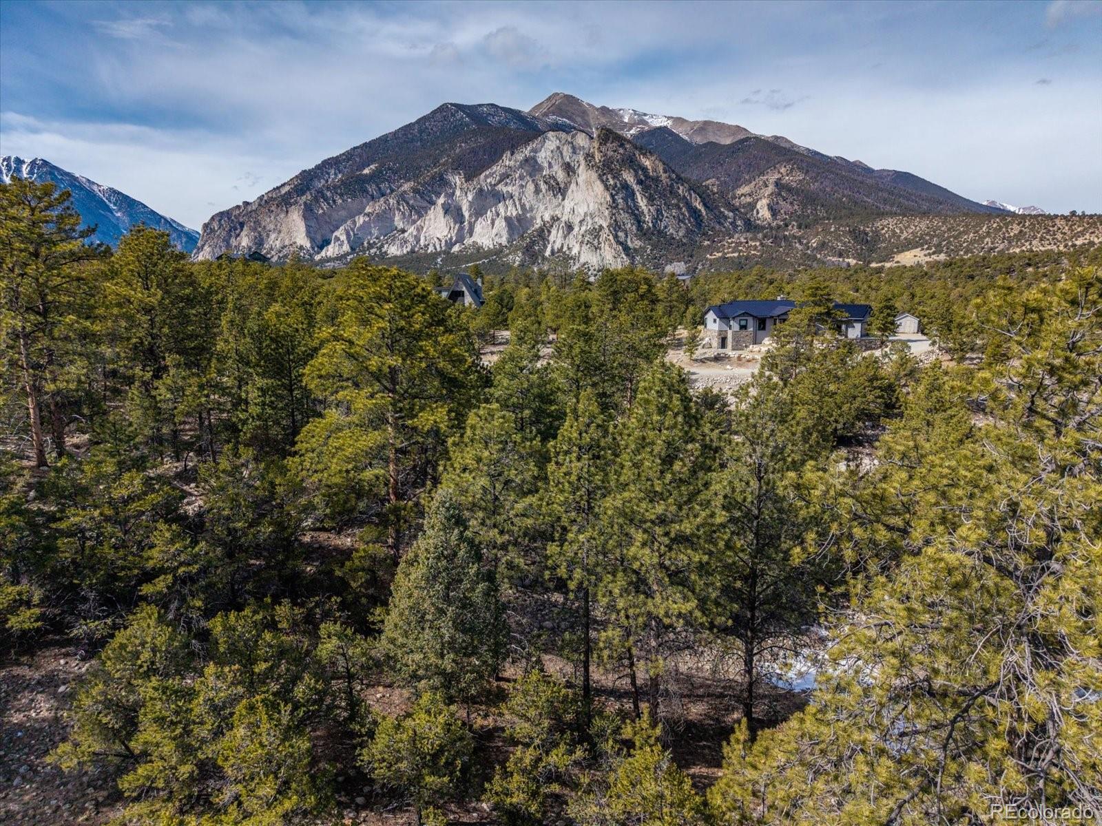 21160 Skyline Drive Nathrop CO 81236