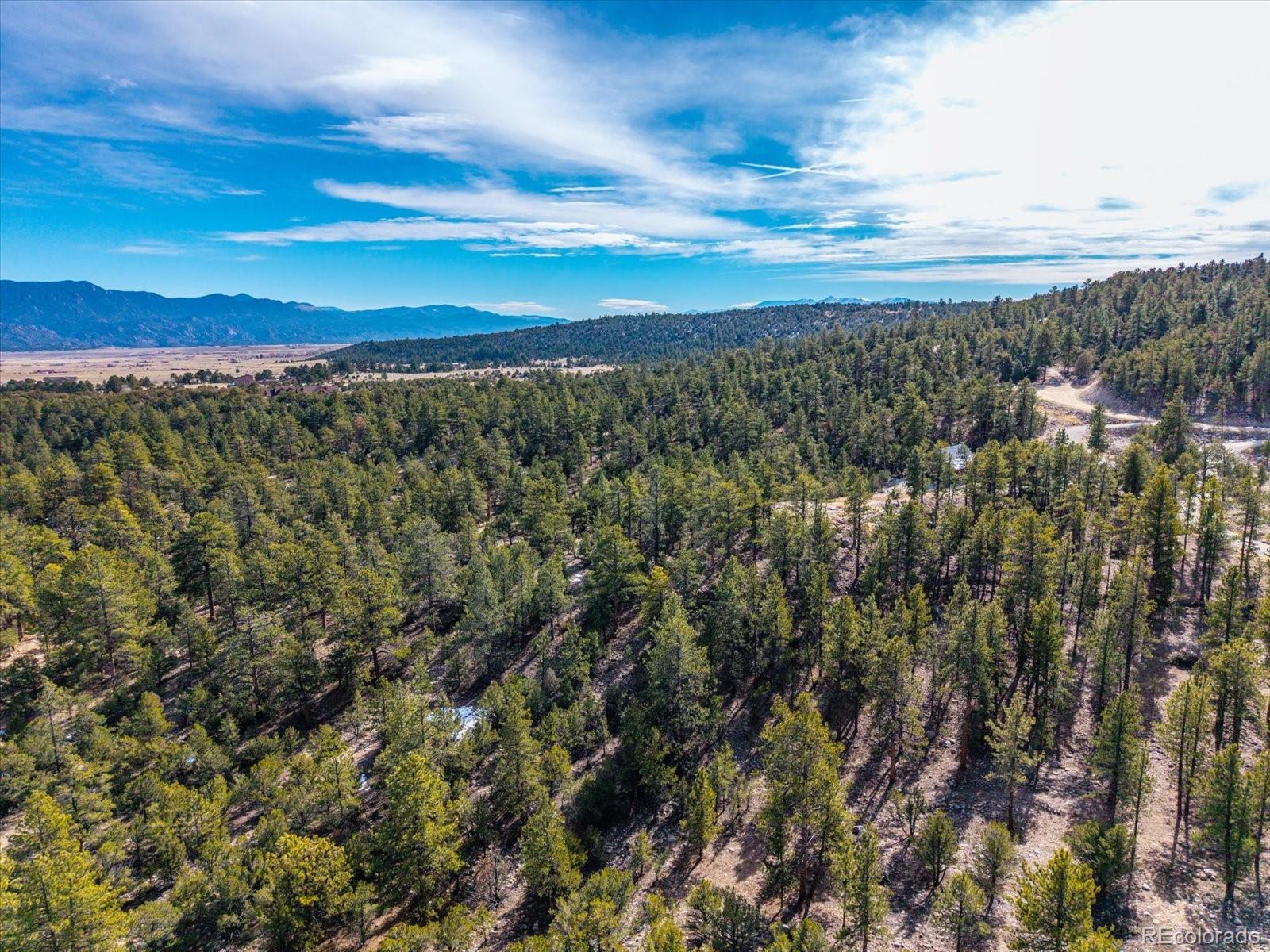 21160 Skyline Drive Nathrop CO 81236