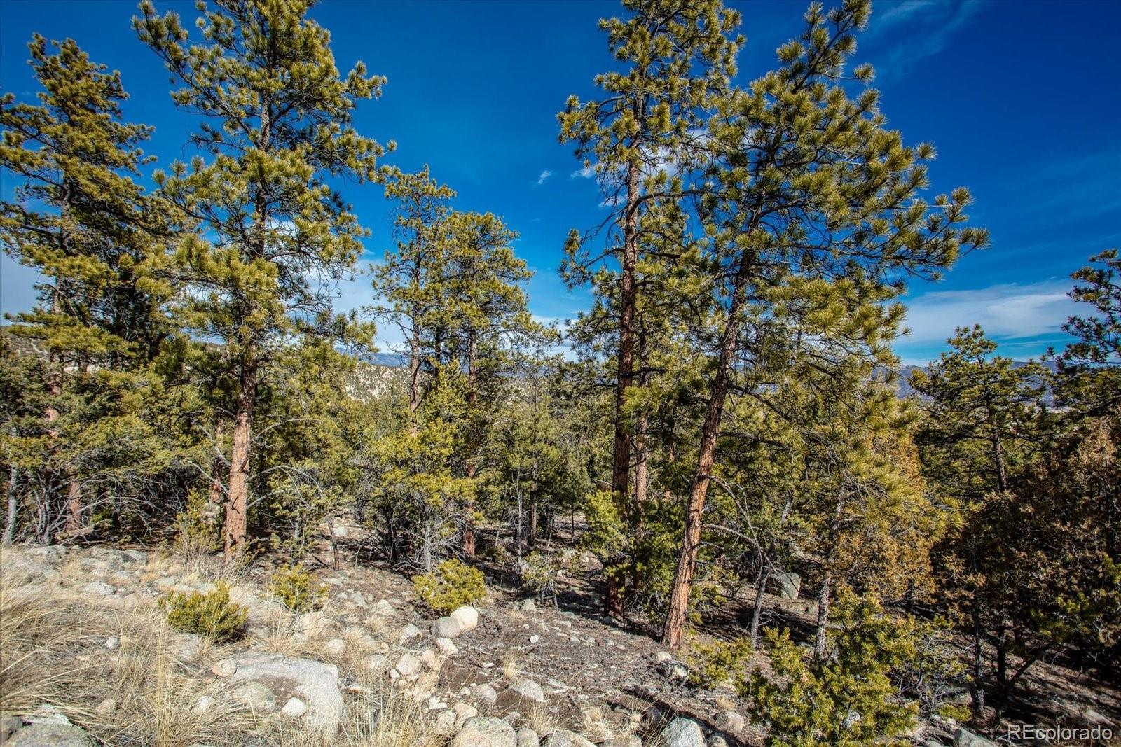 21160 Skyline Drive Nathrop CO 81236