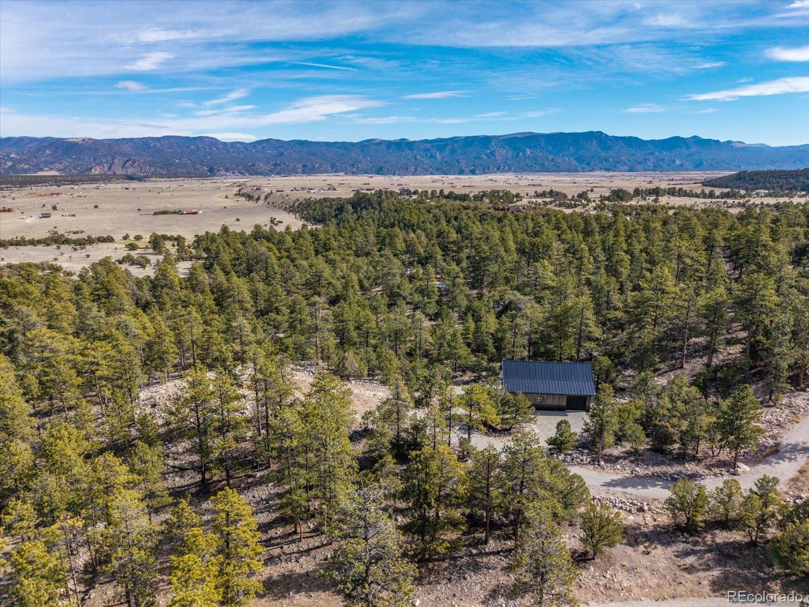 21160 Skyline Drive Nathrop CO 81236