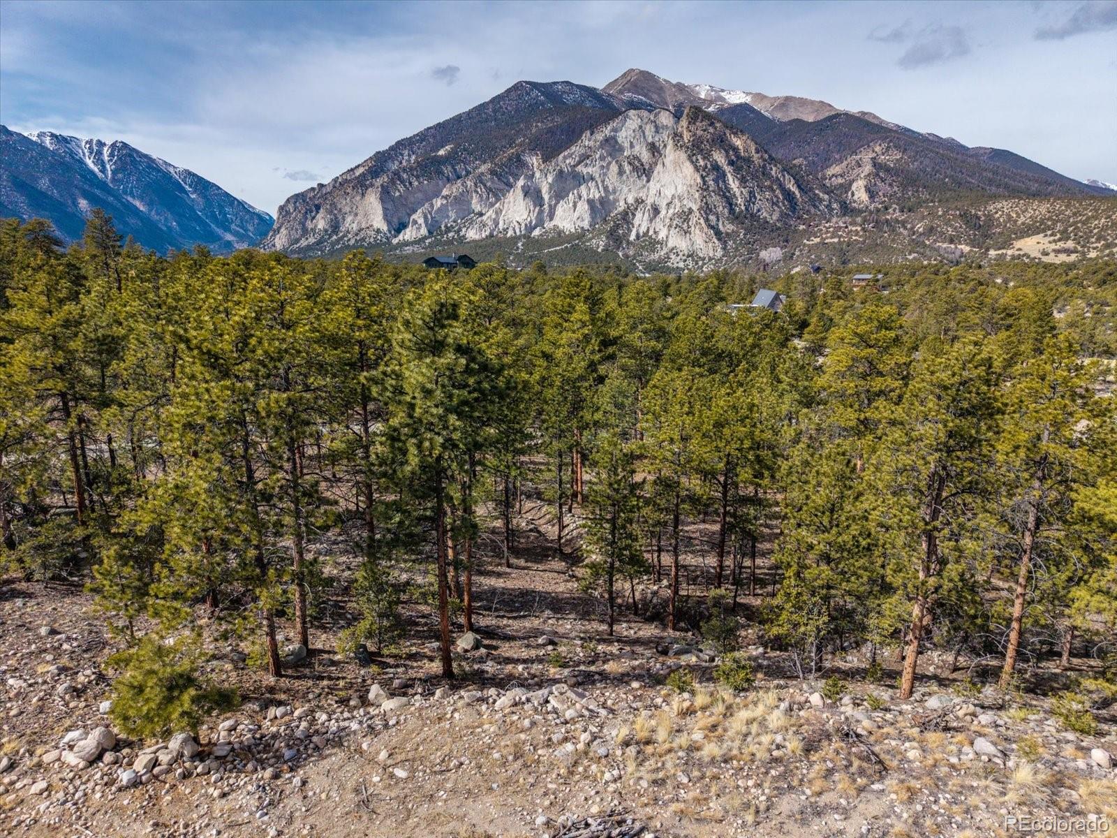21160 Skyline Drive Nathrop CO 81236