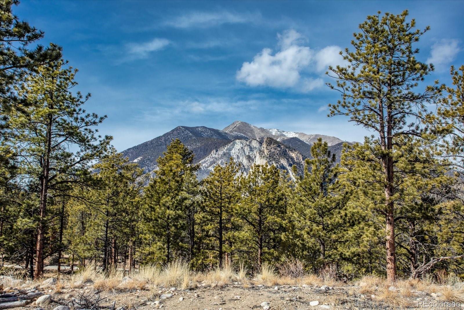 21160 Skyline Drive Nathrop CO 81236