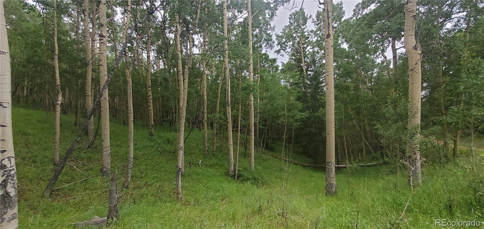 Lot 6882 Donna Road Fort Garland CO 81133