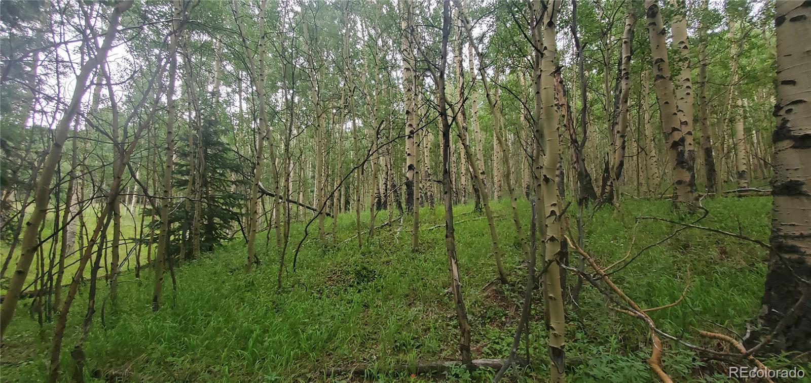 Lot 6882 Donna Road Fort Garland CO 81133