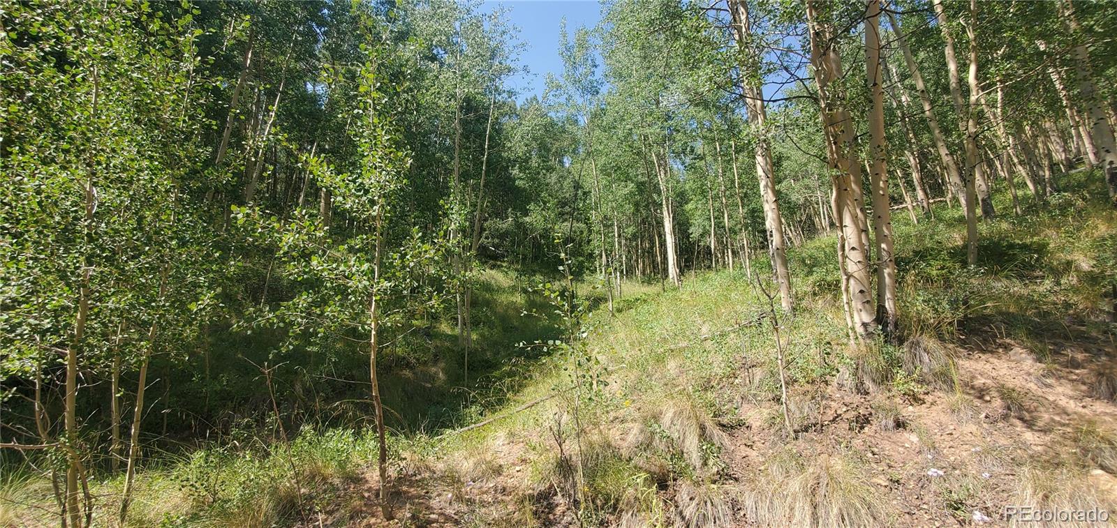 Lot 6882 Donna Road Fort Garland CO 81133