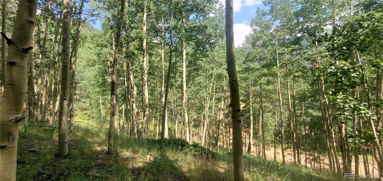 Lot 6882 Donna Road Fort Garland CO 81133