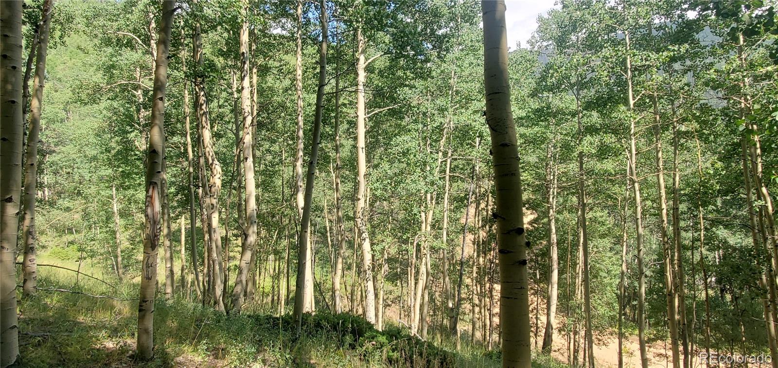 Lot 6882 Donna Road Fort Garland CO 81133
