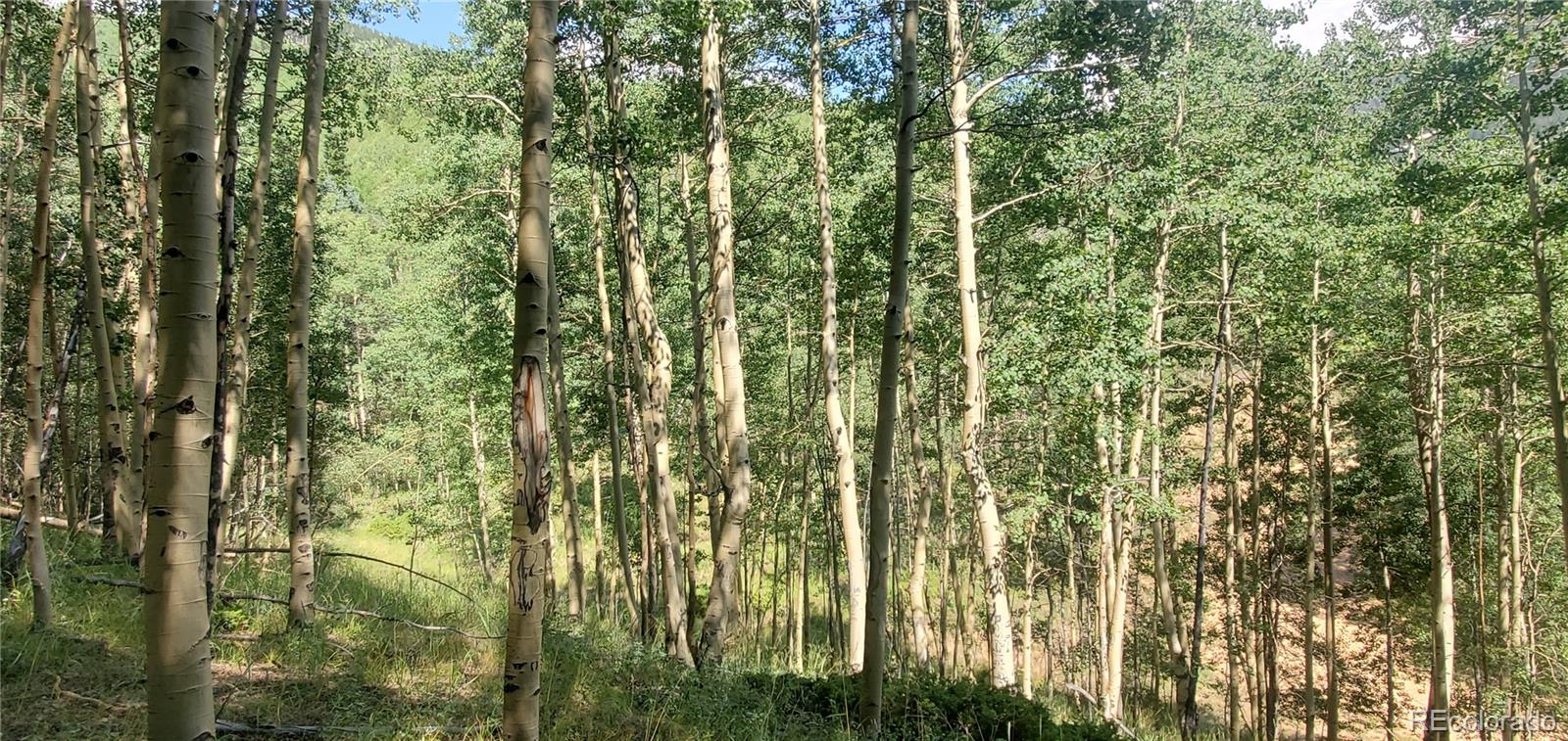Lot 6882 Donna Road Fort Garland CO 81133
