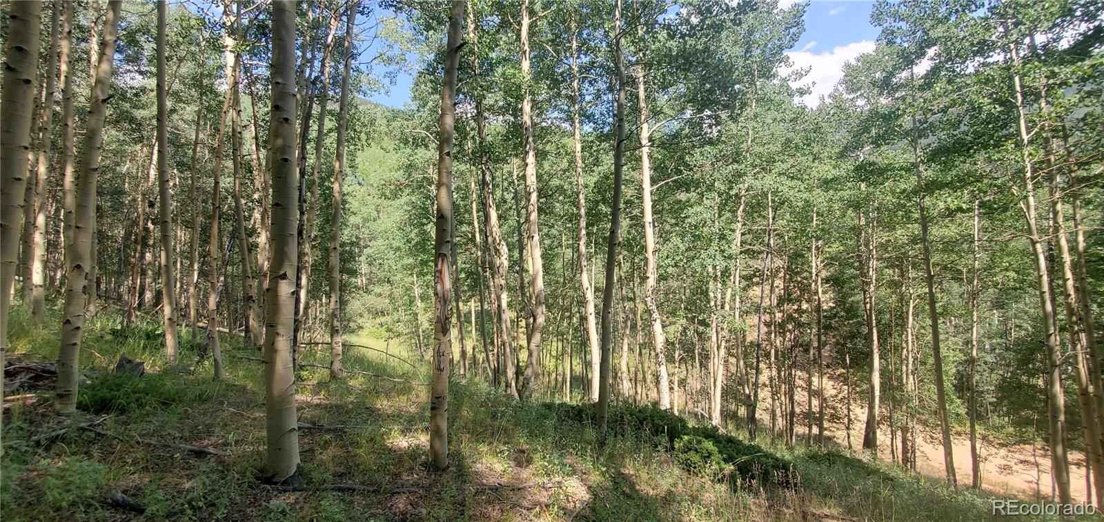 Lot 6882 Donna Road Fort Garland CO 81133