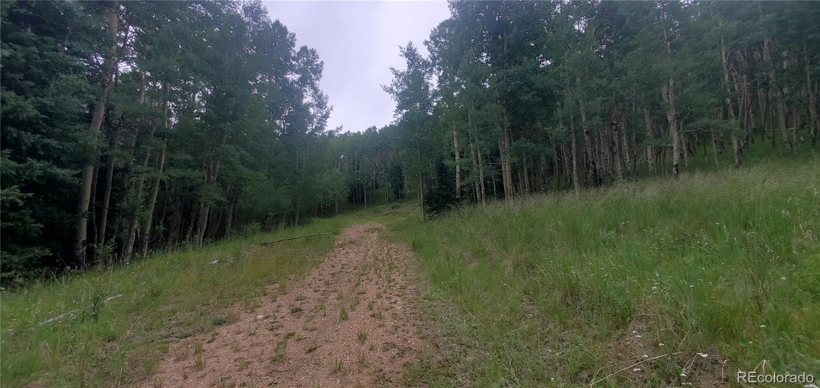 Lot 6882 Donna Road Fort Garland CO 81133