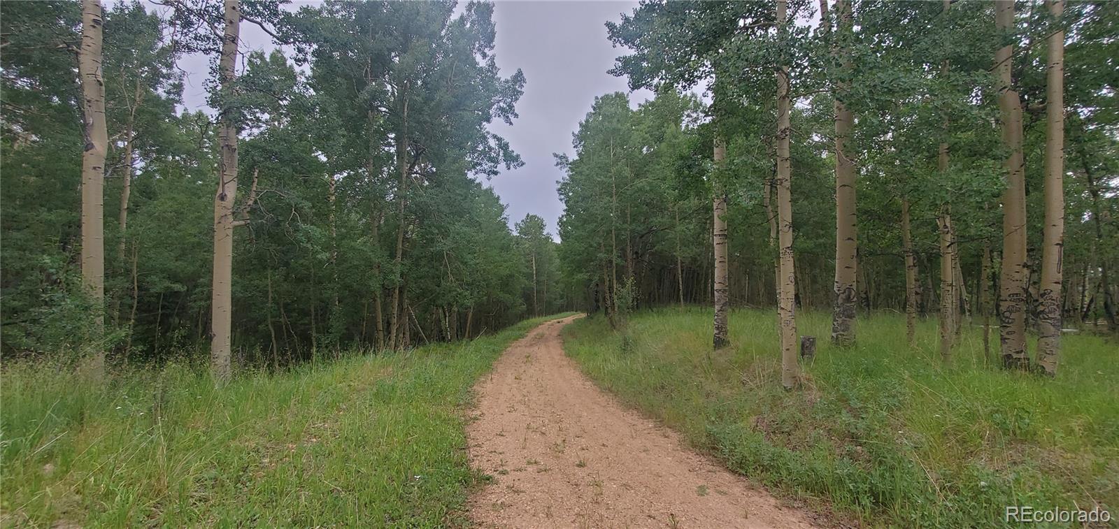 Lot 6882 Donna Road Fort Garland CO 81133