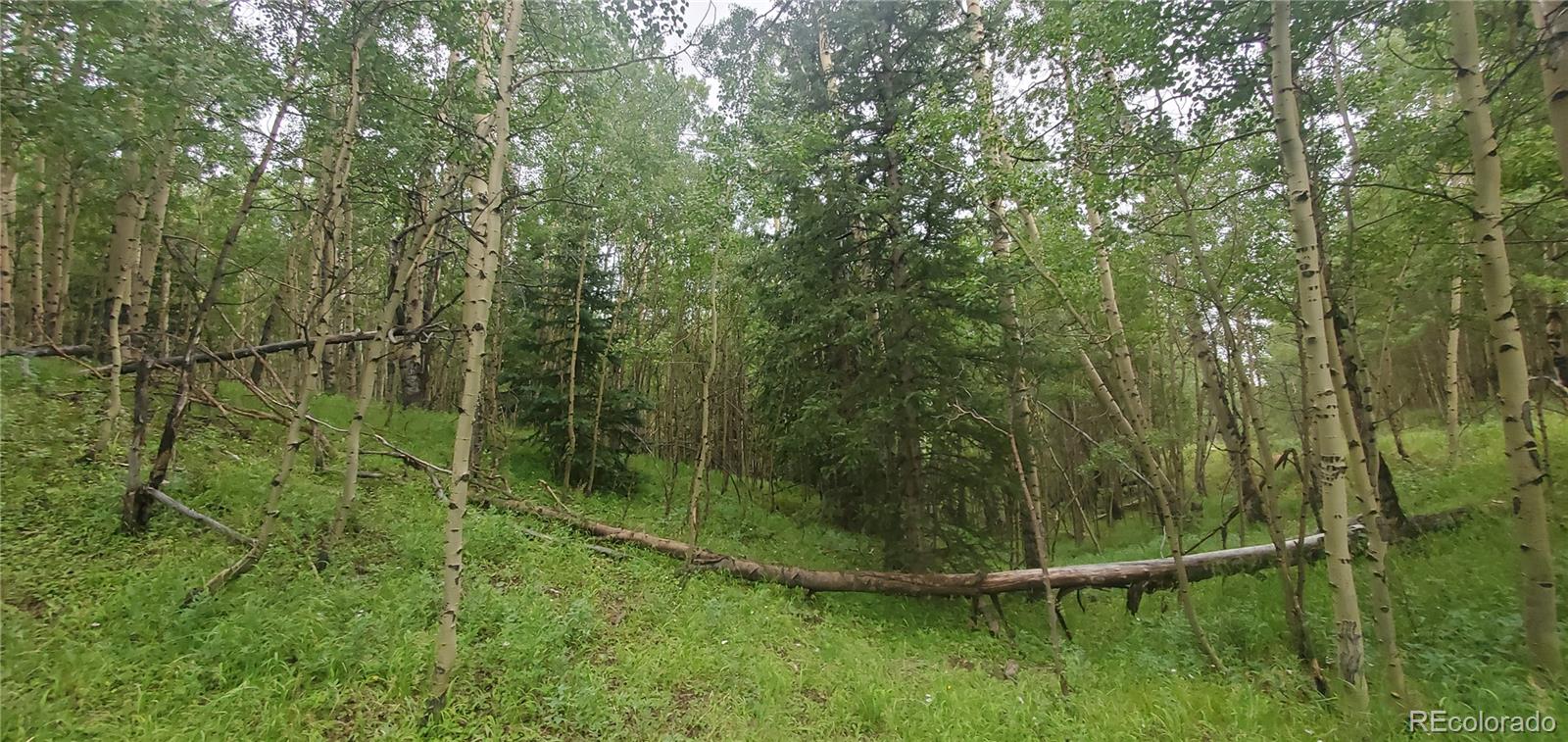 Lot 6882 Donna Road Fort Garland CO 81133