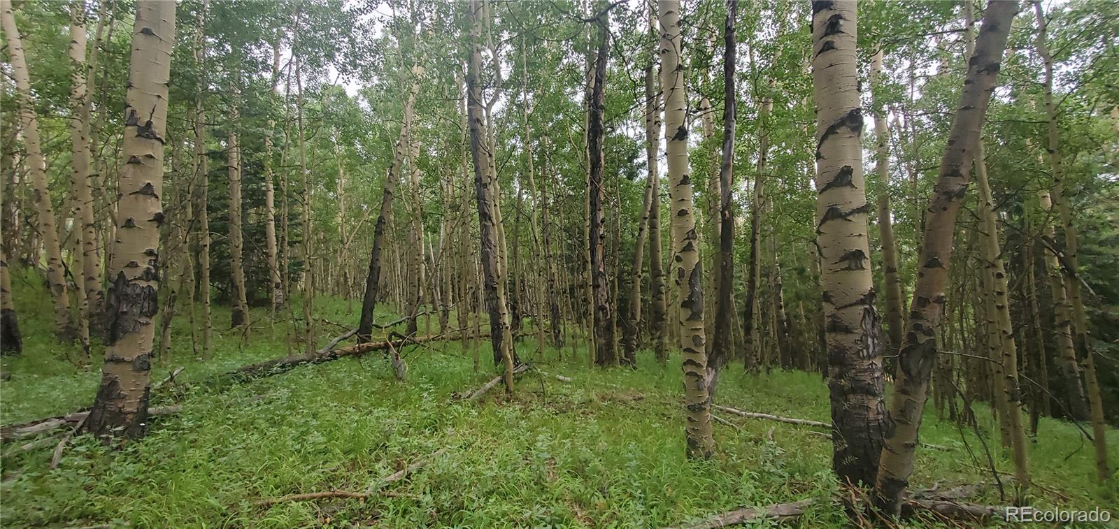 Lot 6882 Donna Road Fort Garland CO 81133