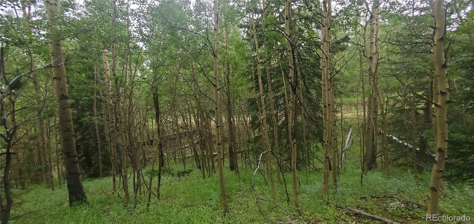 Lot 6882 Donna Road Fort Garland CO 81133