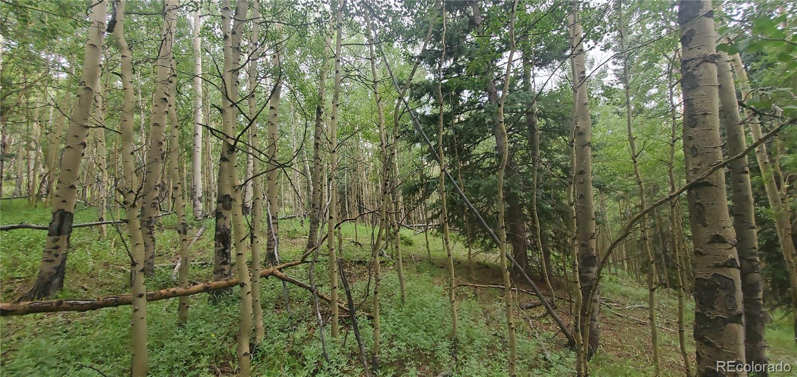 Lot 6882 Donna Road Fort Garland CO 81133