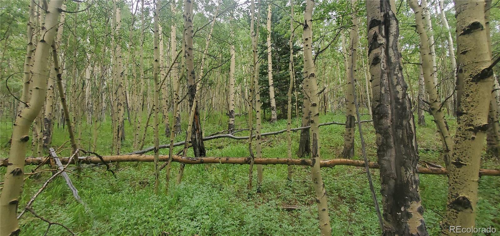 Lot 6882 Donna Road Fort Garland CO 81133