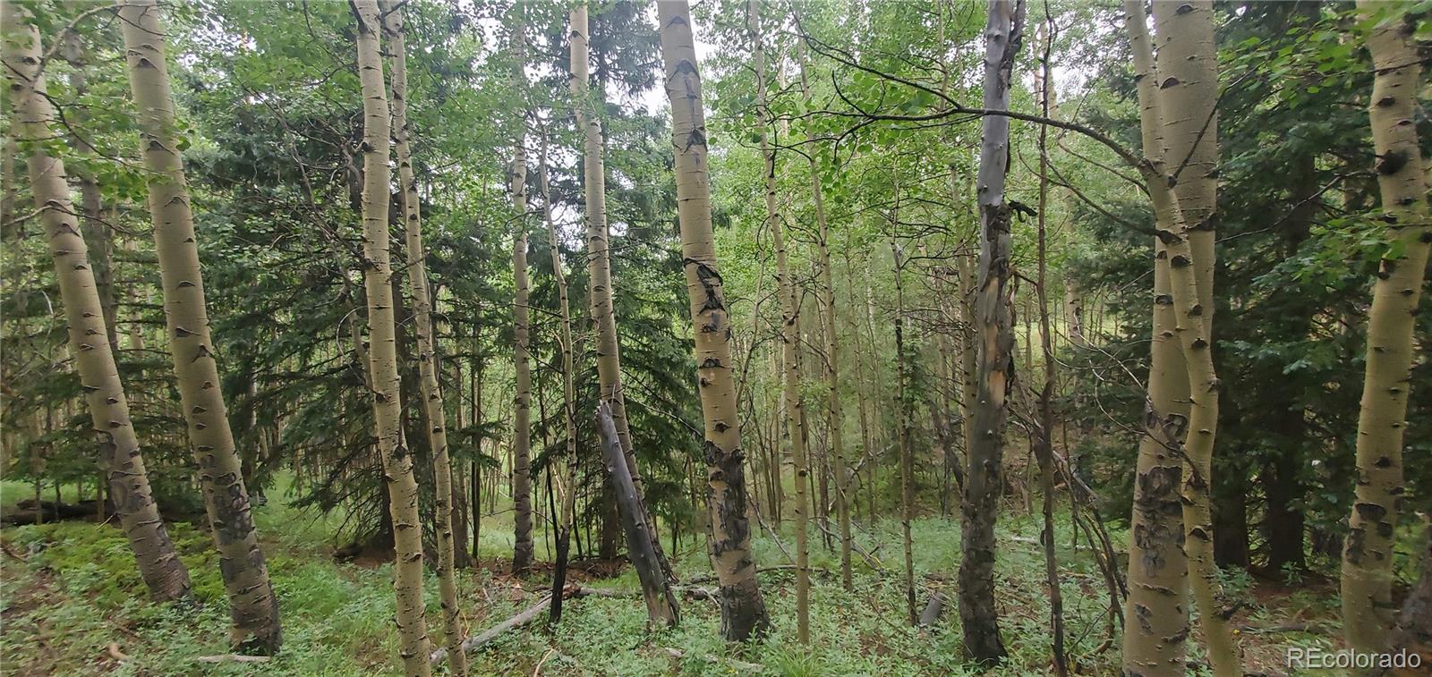 Lot 6882 Donna Road Fort Garland CO 81133