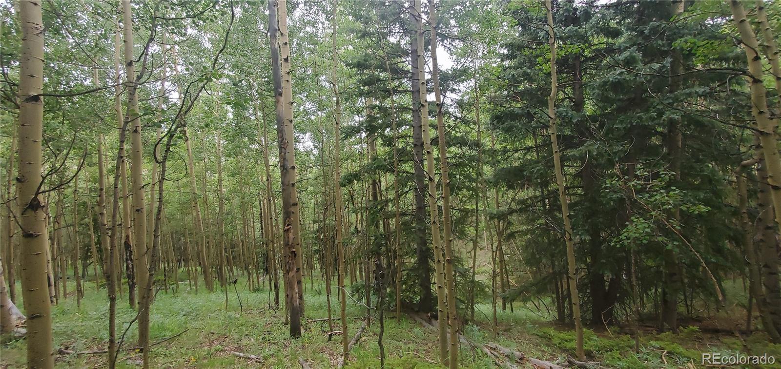 Lot 6882 Donna Road Fort Garland CO 81133