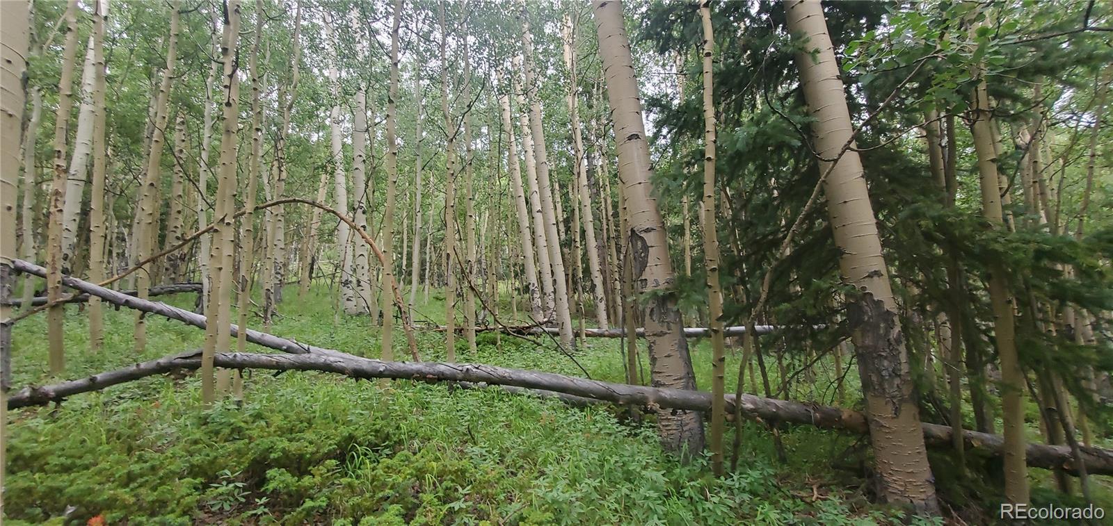 Lot 6882 Donna Road Fort Garland CO 81133