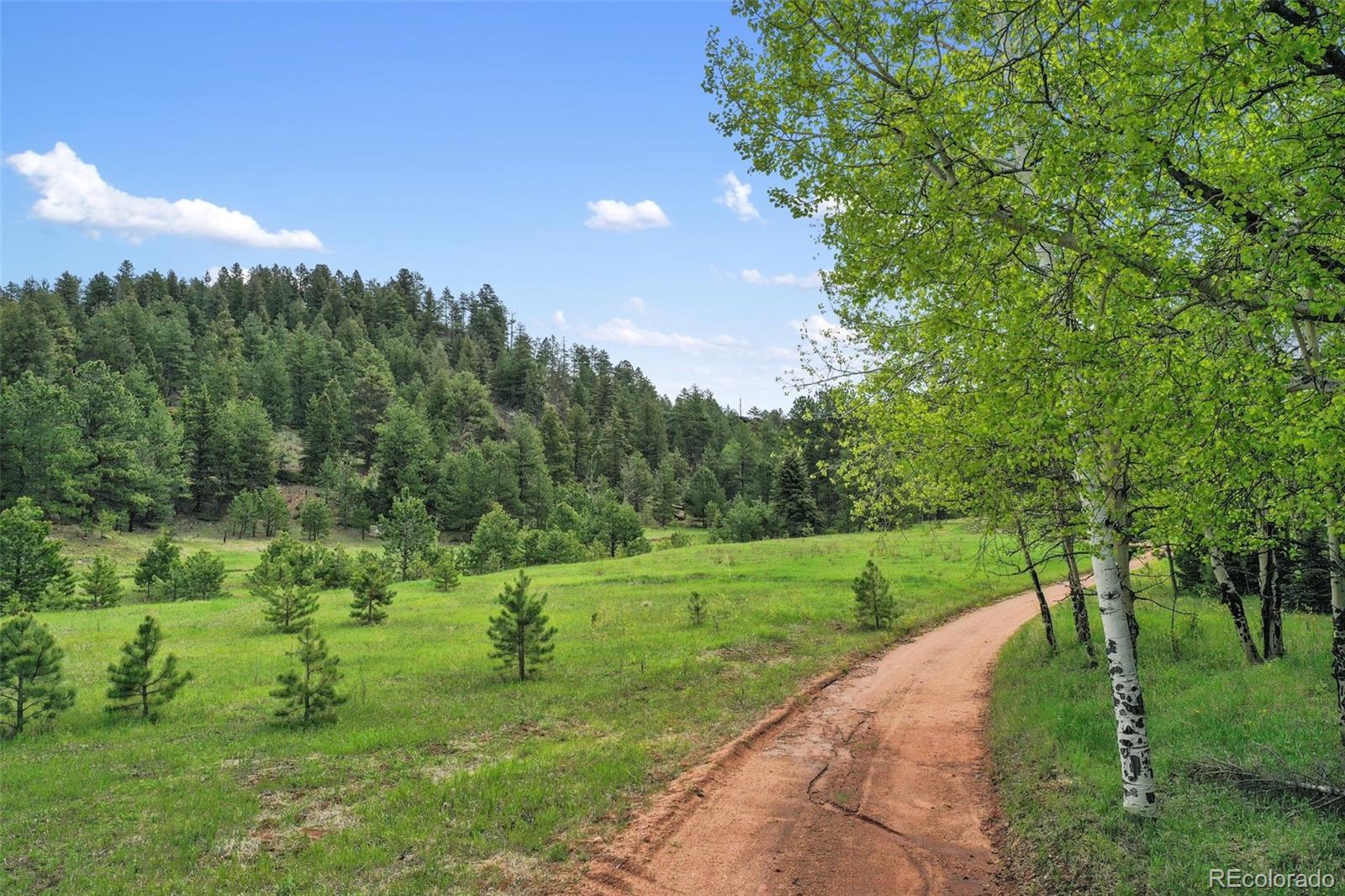584 Sourdough Road Woodland Park CO 80863