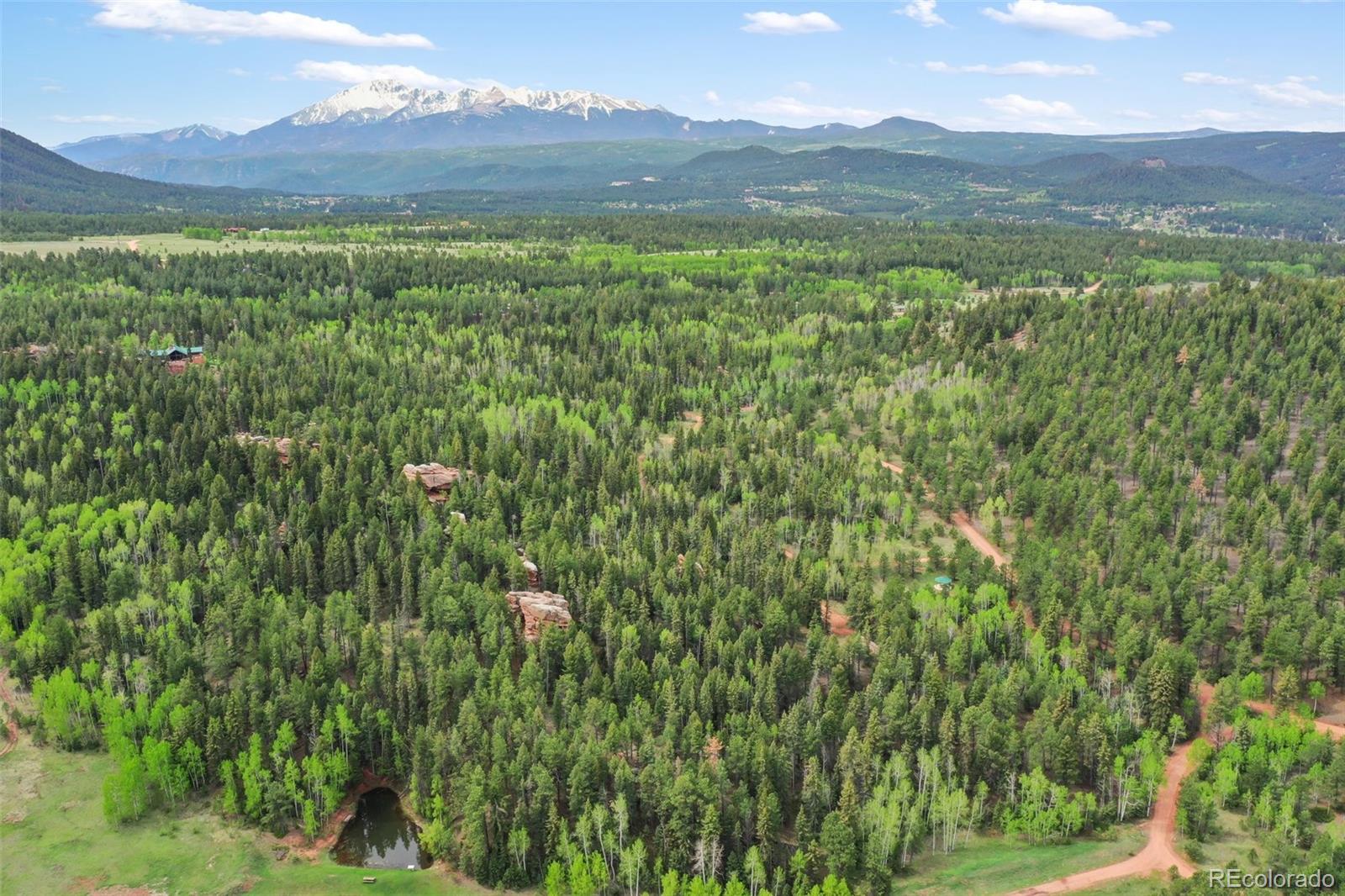 584 Sourdough Road Woodland Park CO 80863