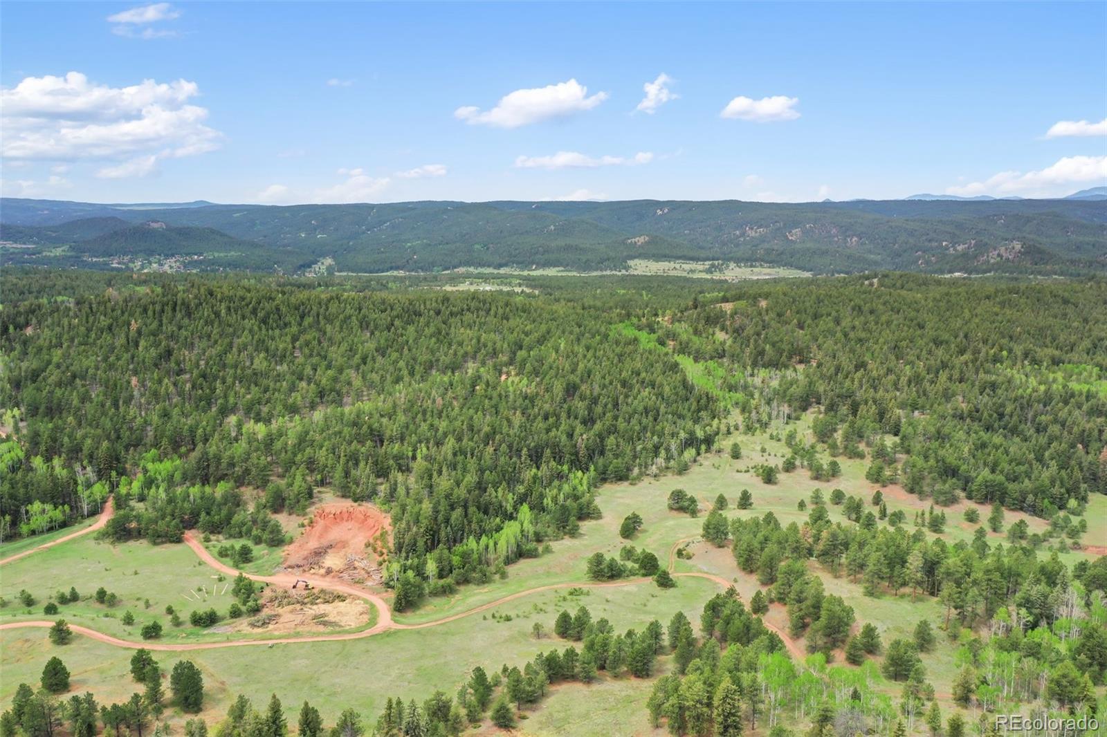 584 Sourdough Road Woodland Park CO 80863