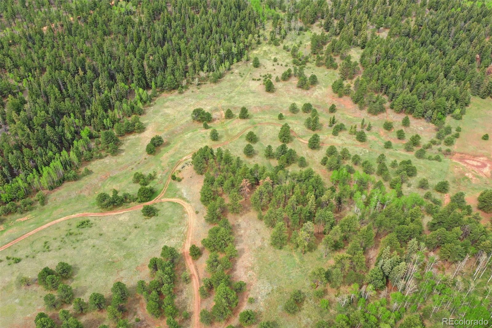 584 Sourdough Road Woodland Park CO 80863