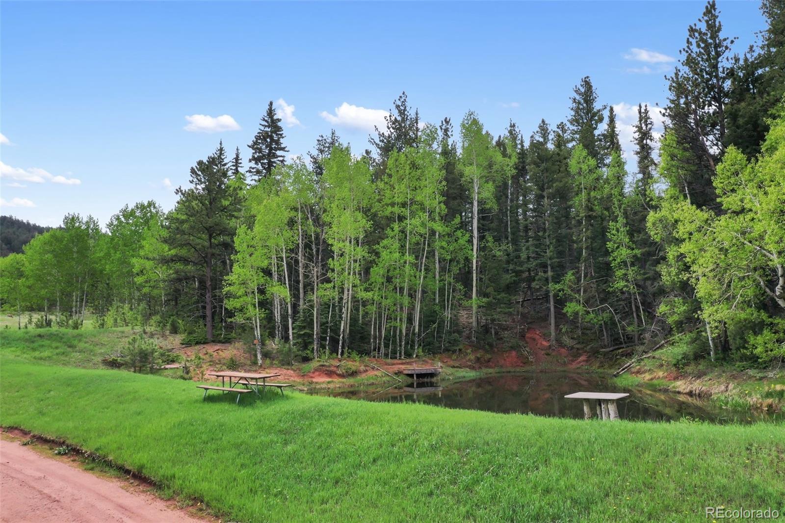 584 Sourdough Road Woodland Park CO 80863