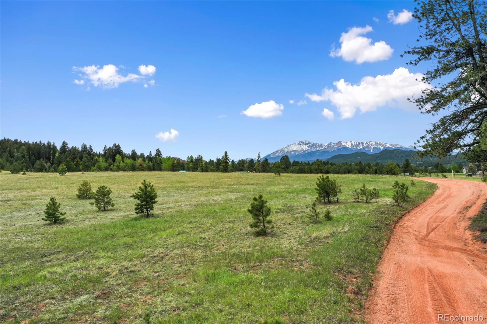 584 Sourdough Road Woodland Park CO 80863