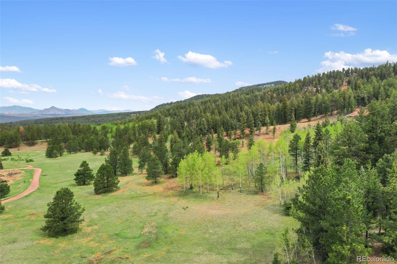 584 Sourdough Road Woodland Park CO 80863