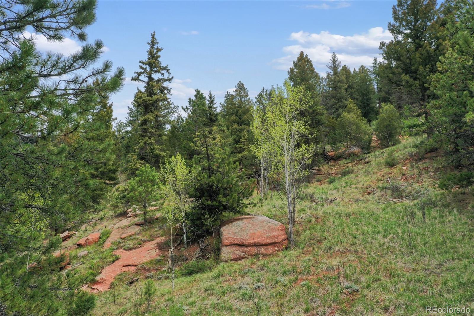 584 Sourdough Road Woodland Park CO 80863