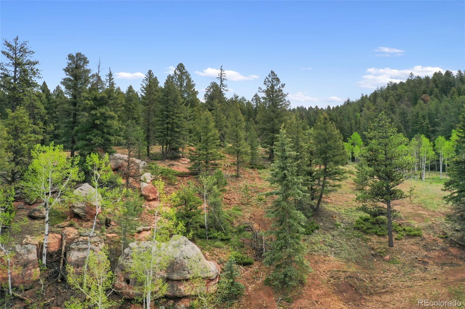 584 Sourdough Road Woodland Park CO 80863