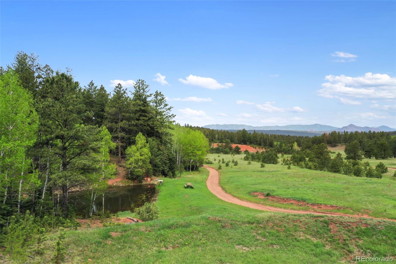 584 Sourdough Road Woodland Park CO 80863