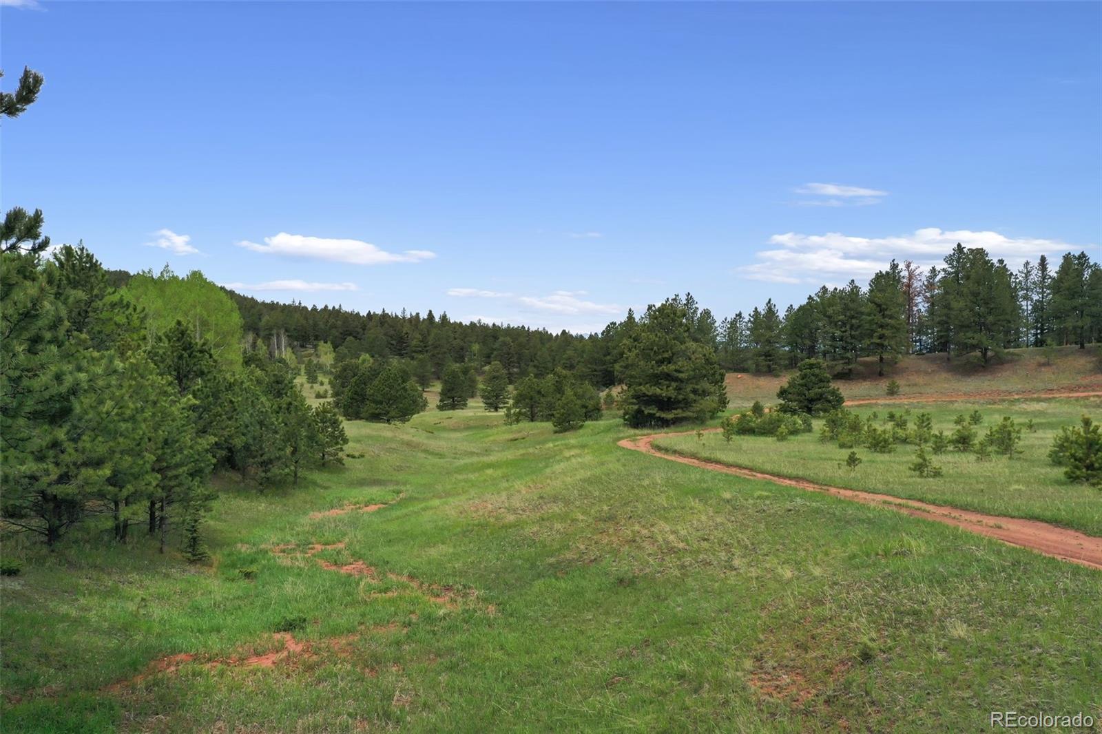 584 Sourdough Road Woodland Park CO 80863