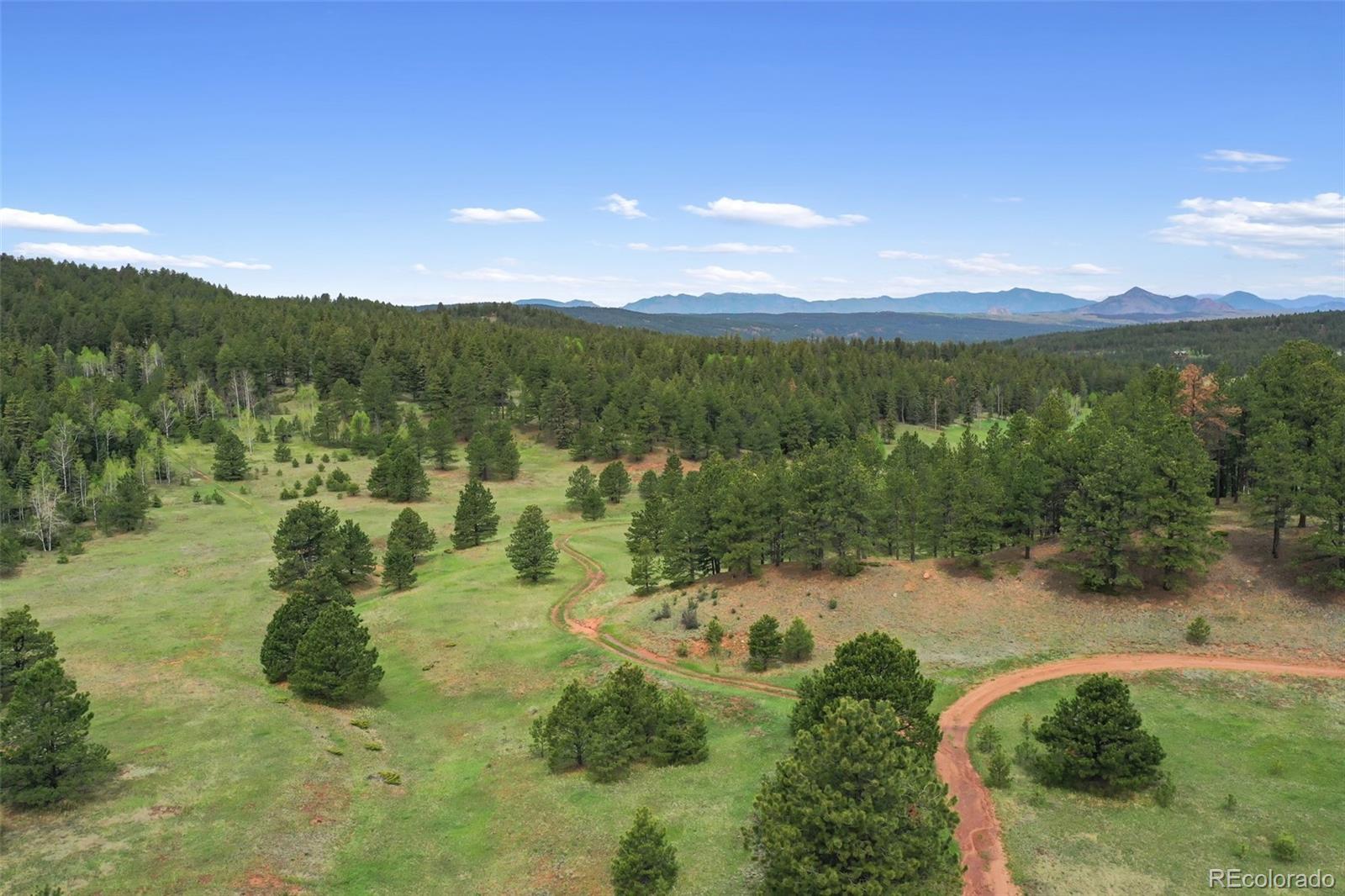 584 Sourdough Road Woodland Park CO 80863