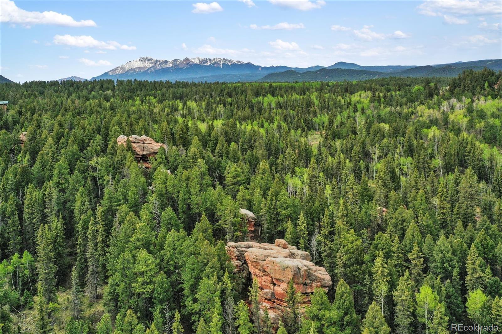 584 Sourdough Road Woodland Park CO 80863
