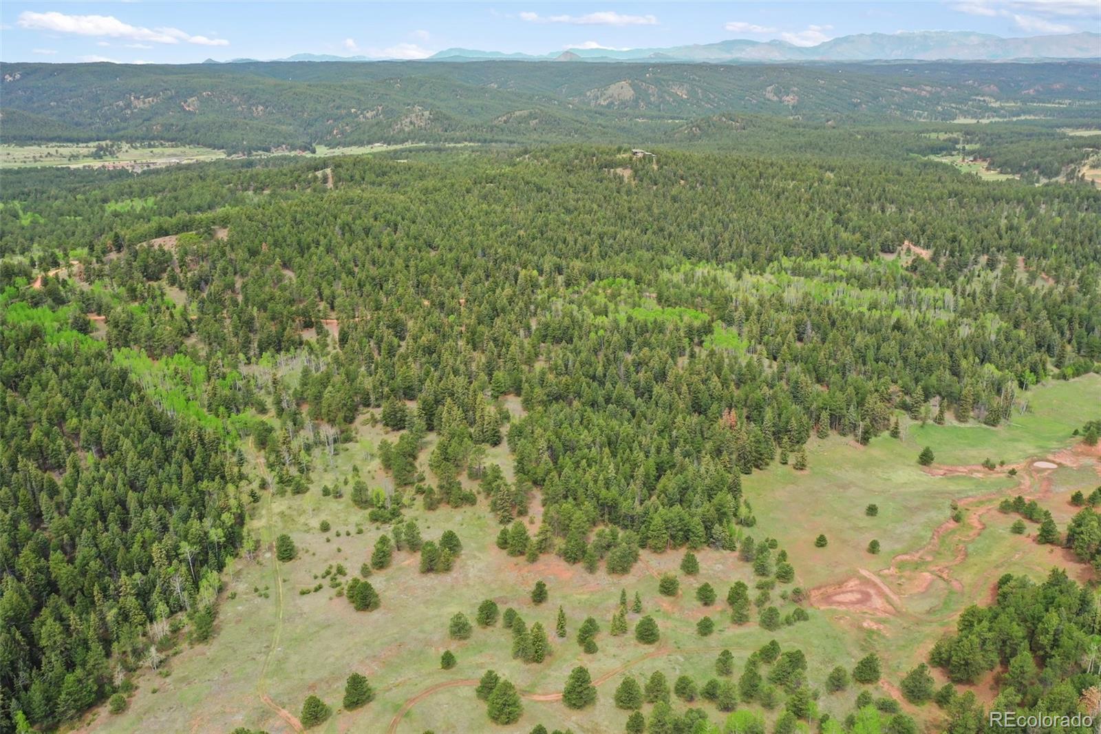 584 Sourdough Road Woodland Park CO 80863