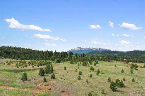 584 Sourdough Road Woodland Park CO 80863