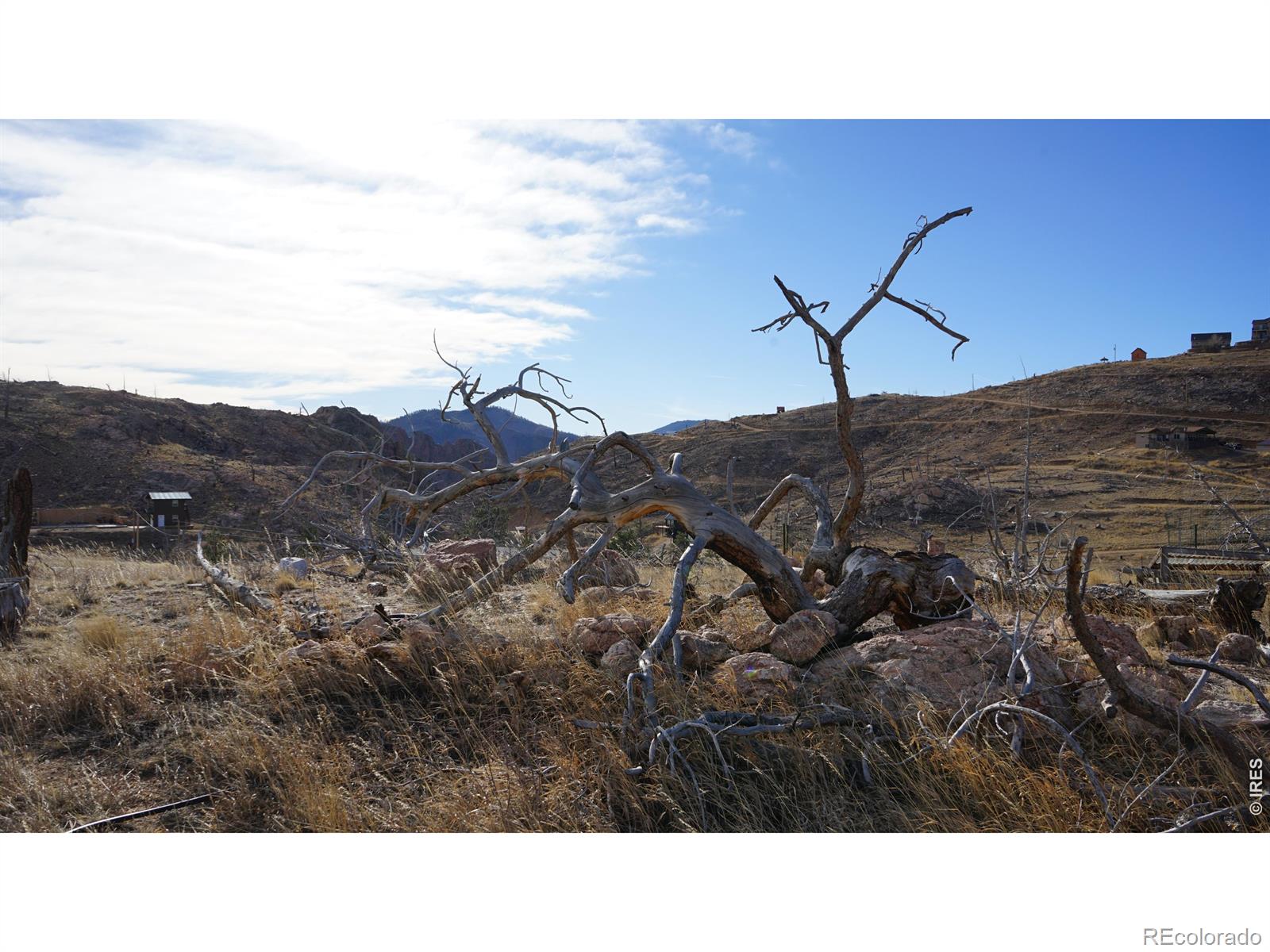 654 Horse Mountain Drive Livermore CO 80536