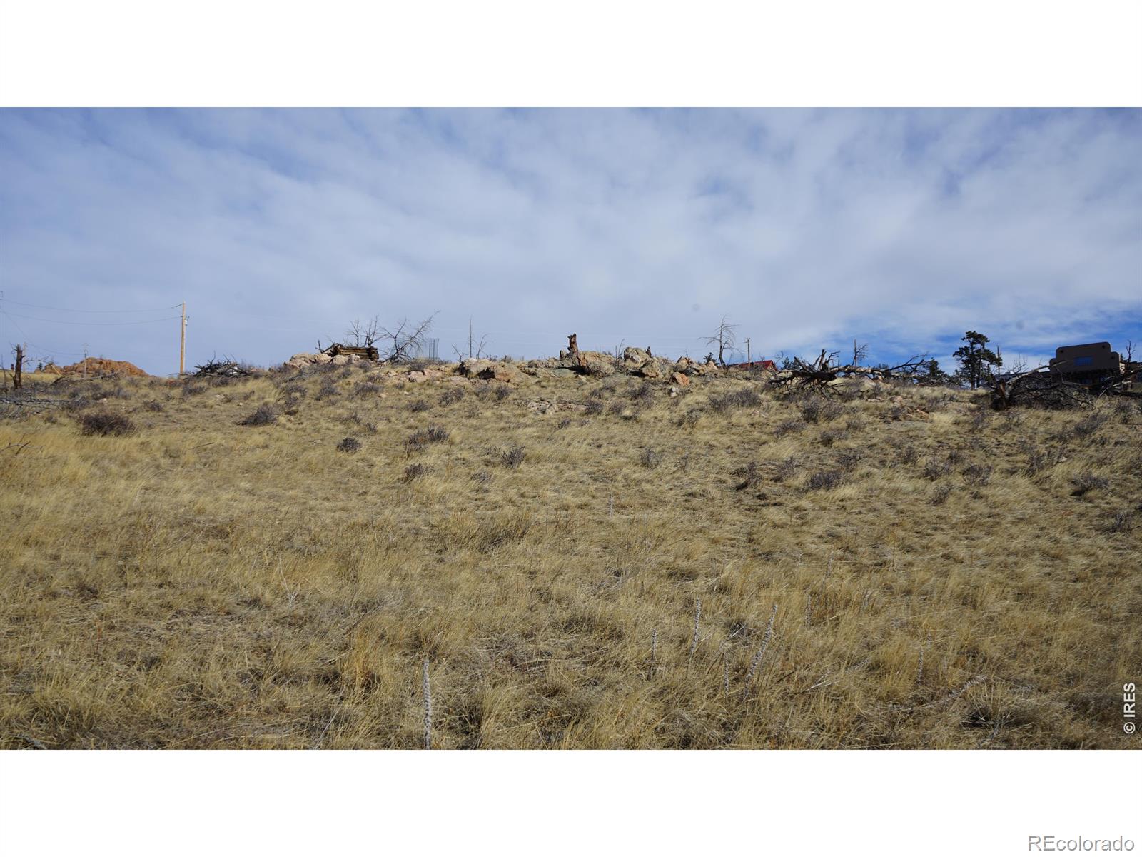 654 Horse Mountain Drive Livermore CO 80536