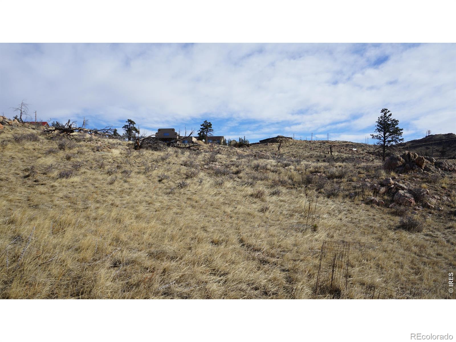 654 Horse Mountain Drive Livermore CO 80536