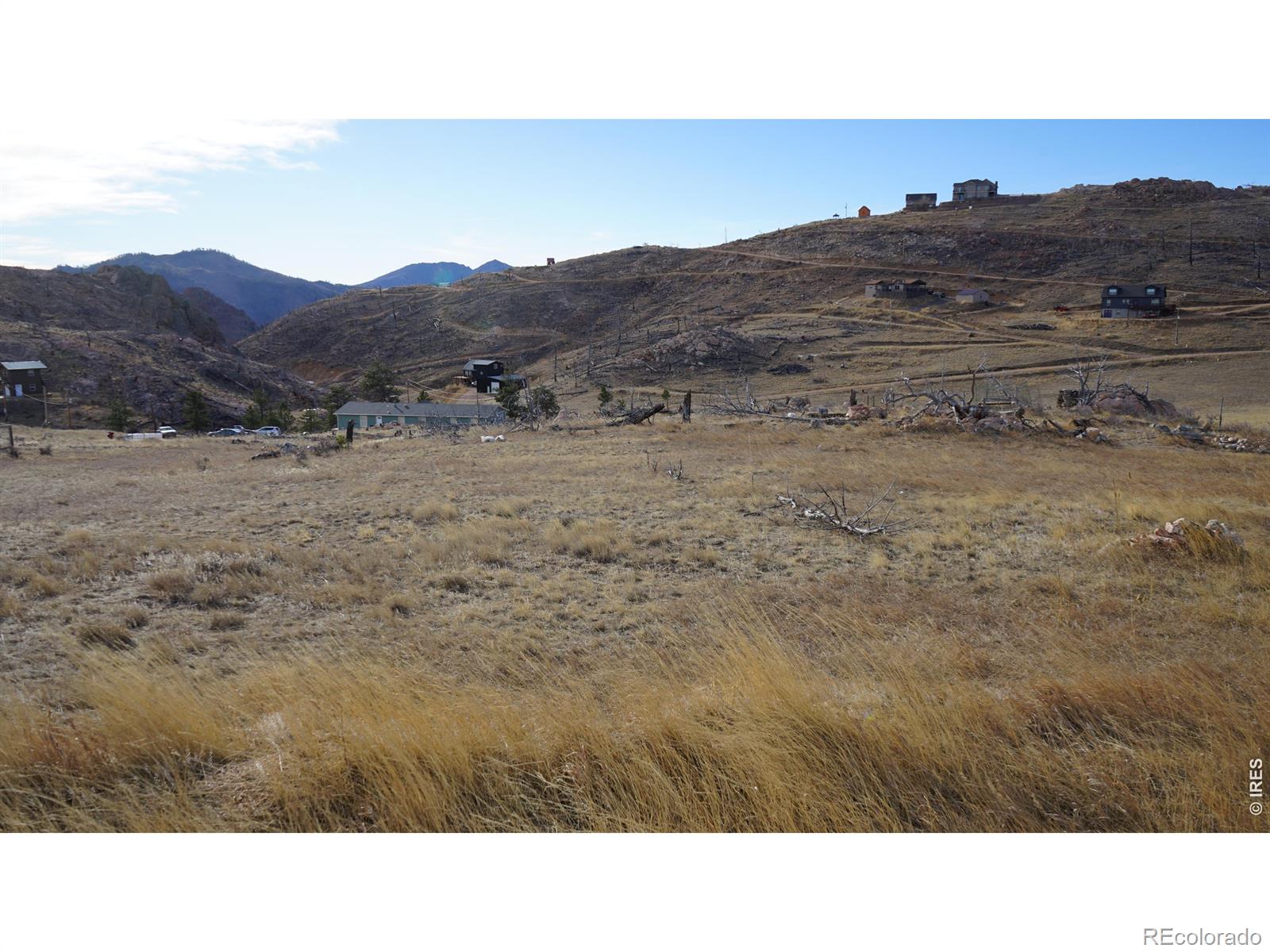 654 Horse Mountain Drive Livermore CO 80536