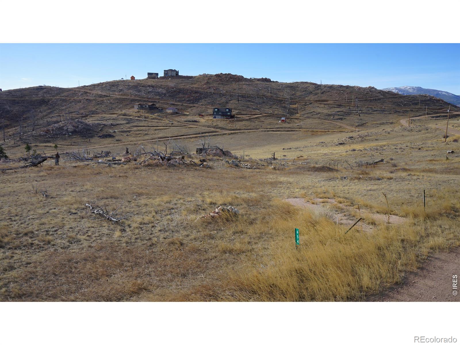 654 Horse Mountain Drive Livermore CO 80536