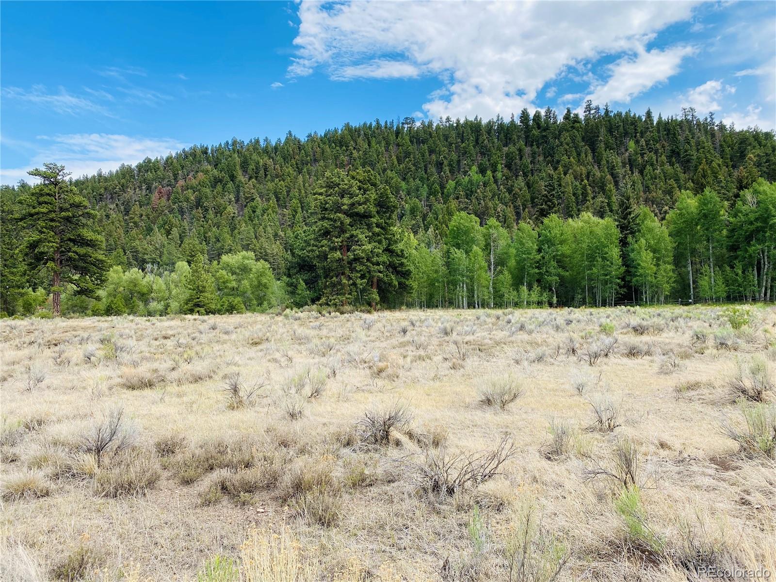 7 Massey Creek Road Antonito CO 81120
